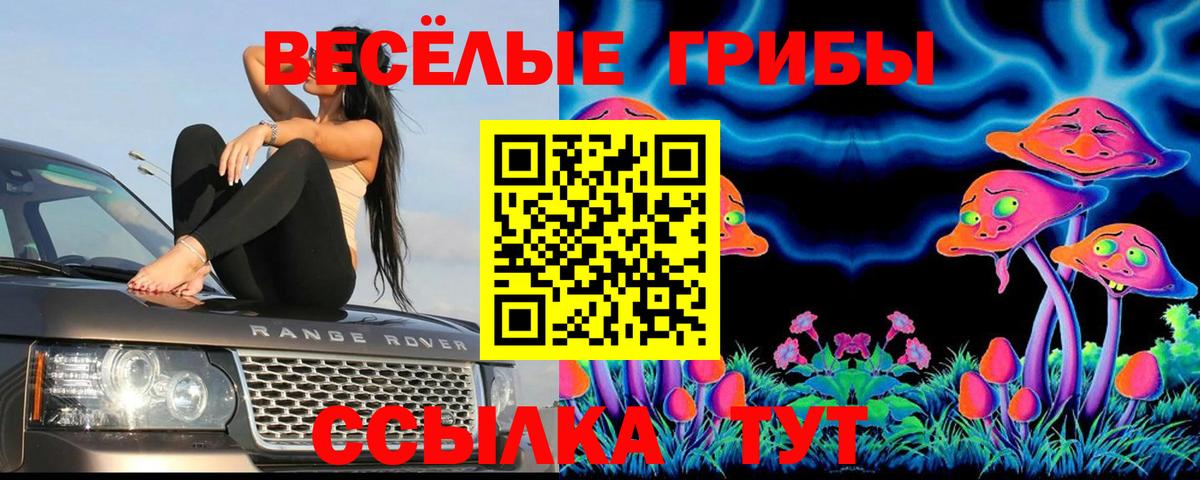 Псилоцибиновые грибы Psilocybine cubensis  Псилоцибиновые грибы мухоморы  Воткинск  Вход с VPN 